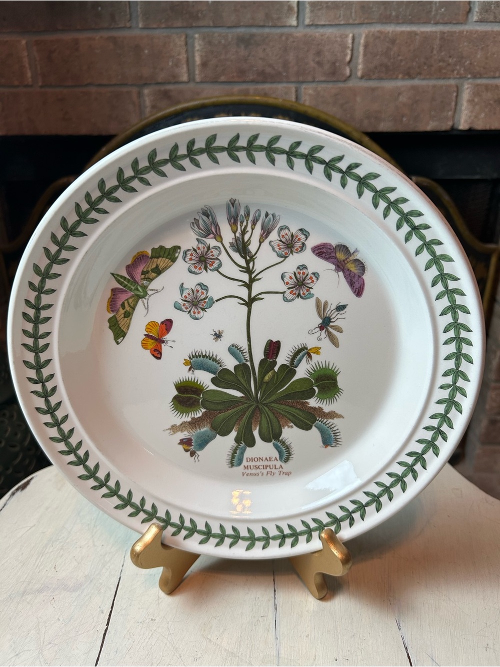 PORTMEIRION BOTANIC GARDEN 10.5” Dinner Plate Venus’s Fly Trap Butterflies 1972
